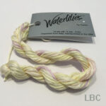 WL325- Marshmallow - Caron's Waterlilies